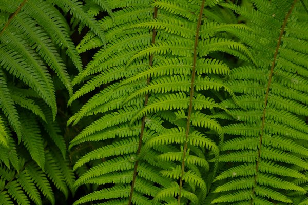 Trio : le jeu de déduction et de mémoire à découvrir