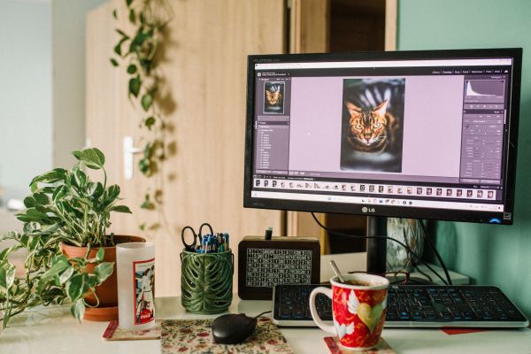 Aménagez votre espace idéal : astuces ergonomiques pour un bureau sur mesure d'artistes numériques