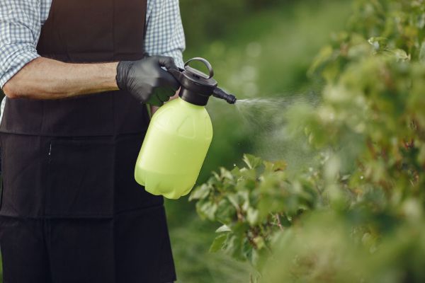 Stratégies Innovantes pour Diminuer l"Usage des Pesticides Chimiques dans Votre Jardin Domestique